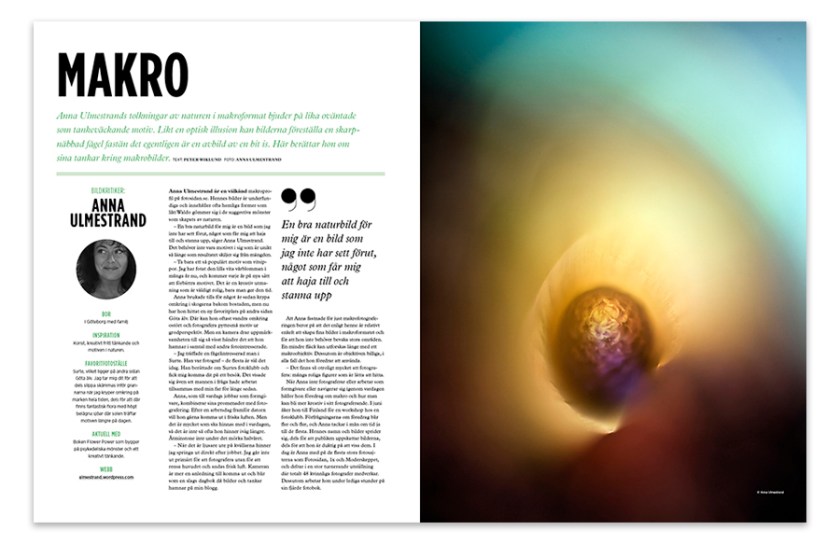 6125a97e346e273a21ffa2fd89f351b1