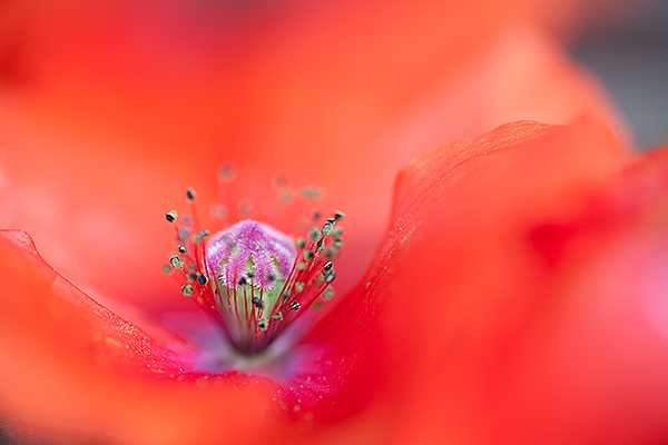 20140819__MG_1082_1s